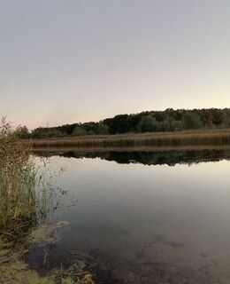 Алексей — фото 1