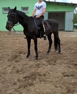 Андрей — фото 3