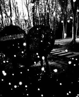 Леша  — фото 1