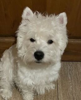 Саня Ковалев