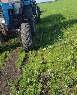 Николай Александрович